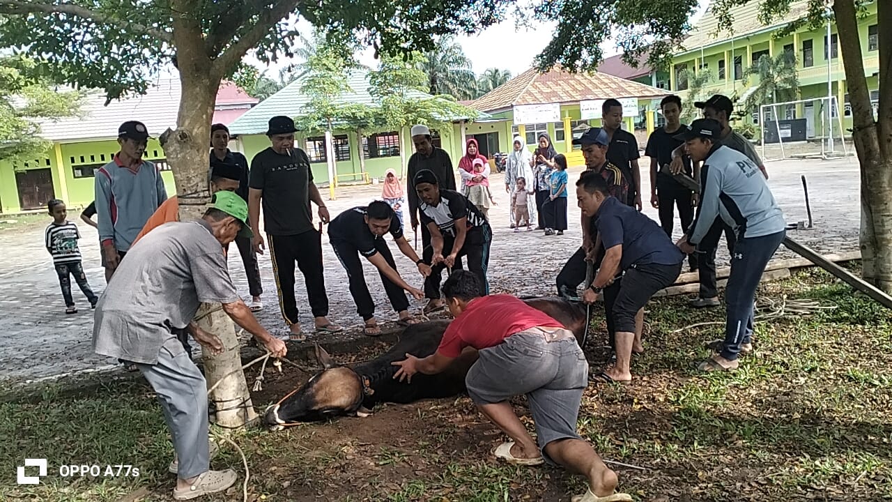 MAN 4 Batang Hari Gelar Kegiatan Qurban, Wujud Kepedulian dan Keimanan