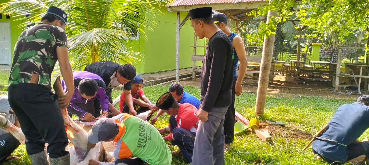 MAN 4 Batanghari Laksanakan Penyembelihan Hewan Kurban